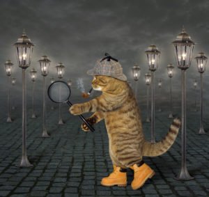 cat with magnifying glass