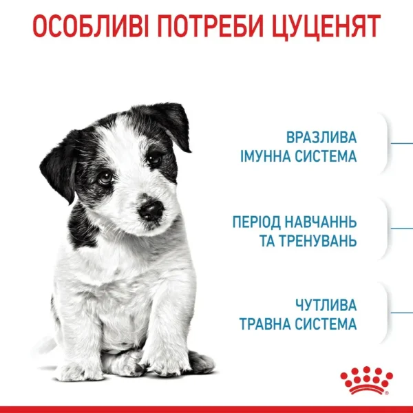 sukhiy korm dlya tsutsenyat dribnikh porid royal canin mini puppy 800 g domashnya ptitsya 82707274819891