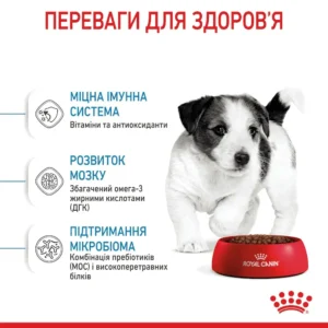 sukhiy korm dlya tsutsenyat dribnikh porid royal canin mini puppy 800 g domashnya ptitsya 99200991697125