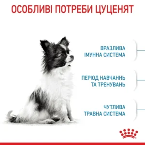sukhiy korm dlya tsutsenyat dribnikh porid royal canin x small puppy 500 g domashnya ptitsya 78715581983041
